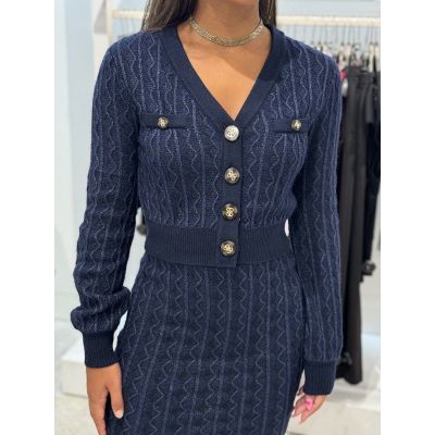 Guess - Tiffany Ls Vn Cardi Swtr - Blauw