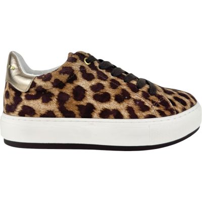 Kurt Geiger - Laney - Bruin