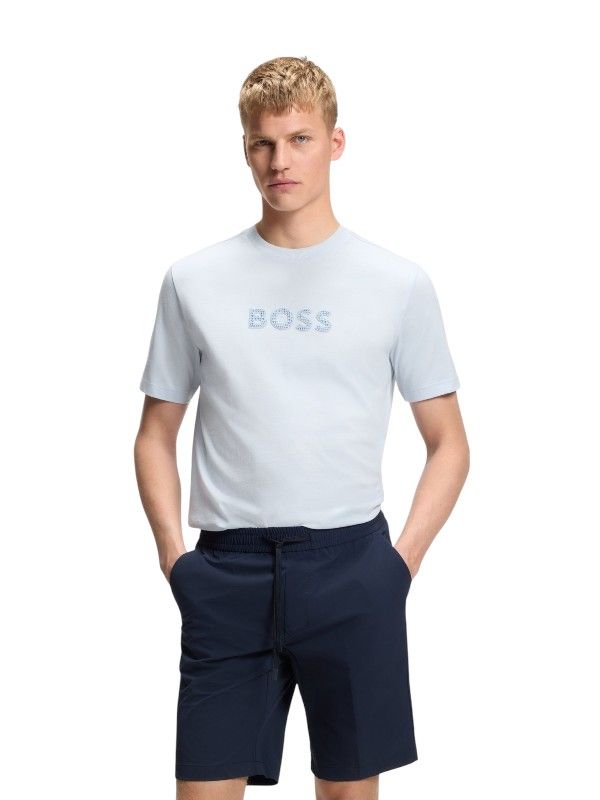 Boss - TS_Terrace Logo - Blauw