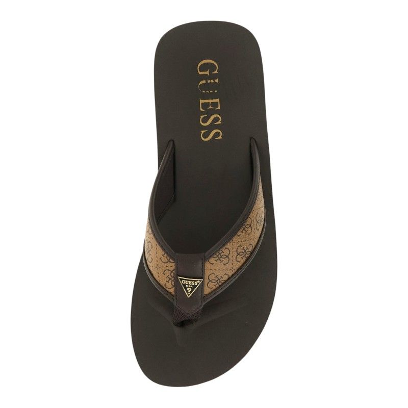 Guess - Dingle - Bruin