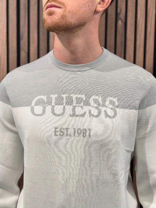 Guess - Kantu Cn Blocking Logo Swtr - Wit