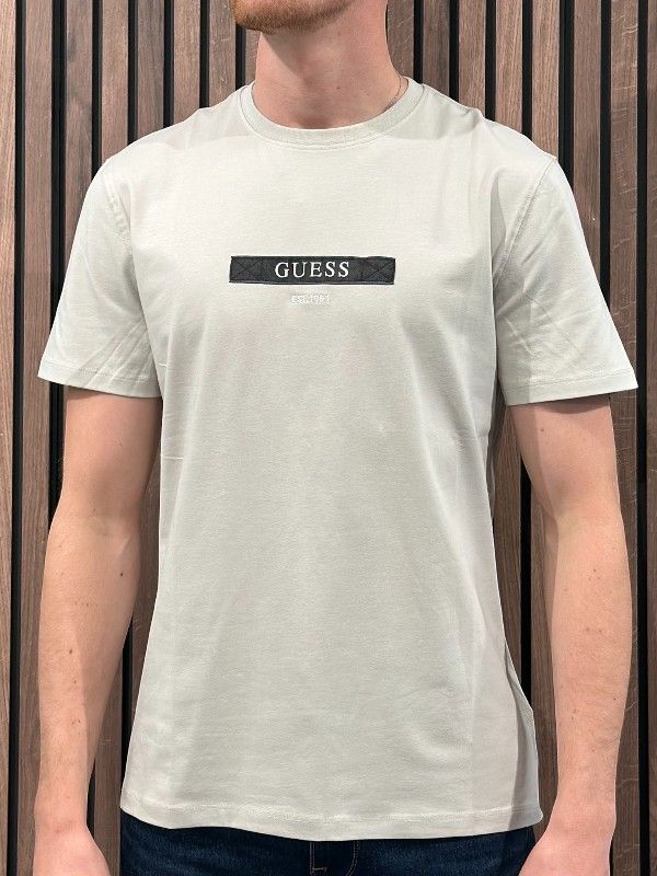 Guess - Ss Cn Logo Box Tee - Grijs