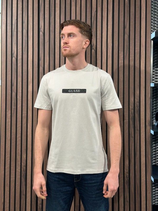Guess - Ss Cn Logo Box Tee - Grijs