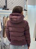 Airforce - Tate Bomber - Berry Wine