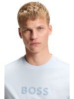 Boss - TS_Terrace Logo - Blauw
