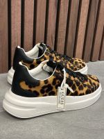 Guess - Elbina8 - Bruin