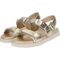 Steve Madden - Mona - Goud