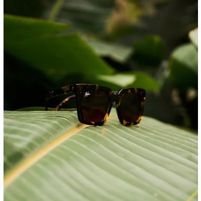 Malelions - Women Signature Sunglasses - Bruin