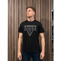 Guess - Ss Bsc Painted Triangle Tee - Zwart