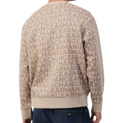 Armani Exchange - Man Jersey Sweatshirt - Beige